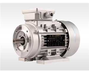 YE3 series aluminum motor